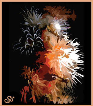 Digital Illustration, Graphic Design, Sophie Lo